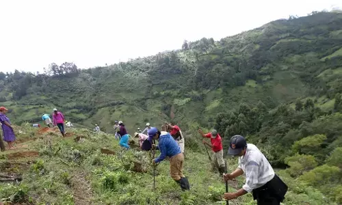 ಸಂಪಾದಕೀಯ | ಅರಣ್ಯೀಕರಣ: ಪ್ರಚಾರವೊಂದೇ ಸಾಧನೆ