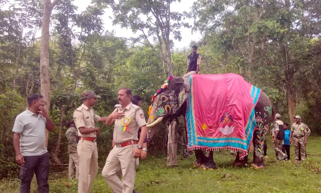 ಮೈಸೂರು ದಸರಾ 20206 | ಗಜಪಯಣಕ್ಕೆ ಕ್ಷಣಗಣನೆ ಆರಂಭ