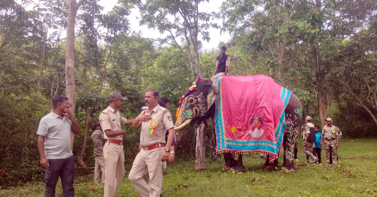 ಮೈಸೂರು ದಸರಾ 2026 | ಗಜಪಯಣಕ್ಕೆ ಕ್ಷಣಗಣನೆ ಆರಂಭ ಮೈಸೂರು ದಸರಾ 2026 | ಗಜಪಯಣಕ್ಕೆ ಕ್ಷಣಗಣನೆ ಆರಂಭ