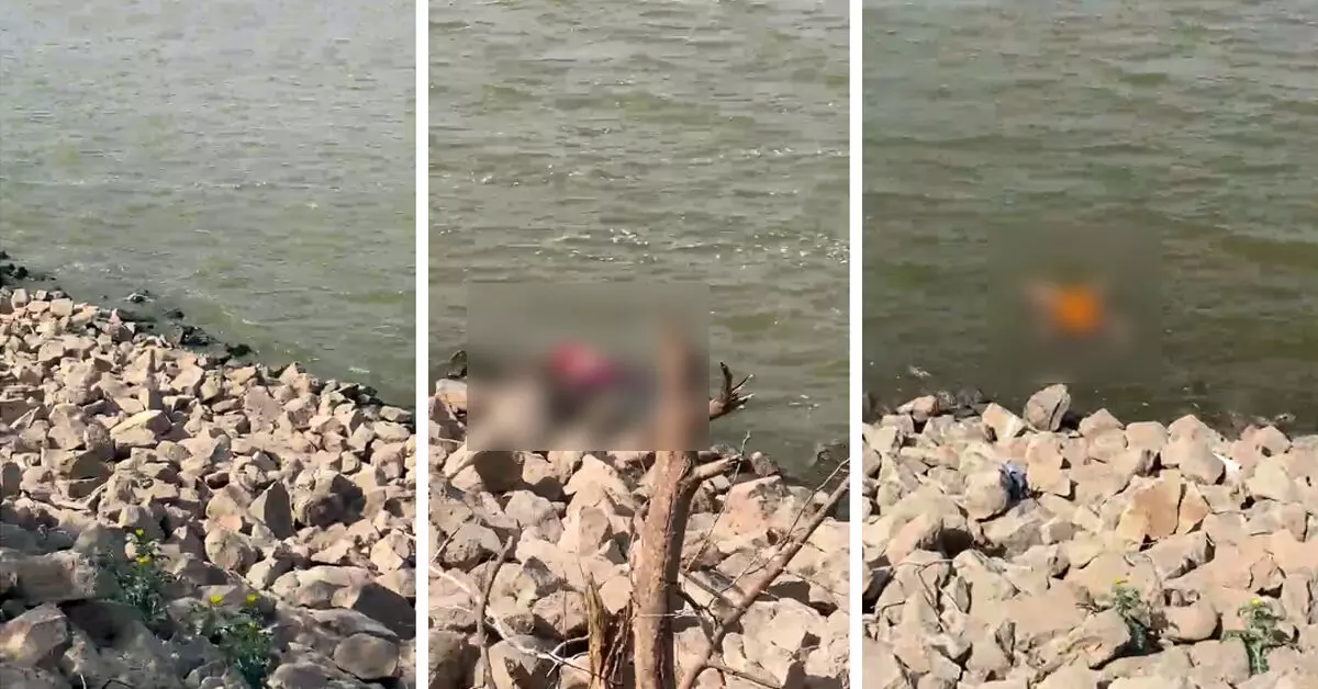 ವಿಜಯಪುರ: ಭೂತನಾಳ ಕೆರೆಯಲ್ಲಿ ತಾಯಿ, ಐವರು ಮಕ್ಕಳ ಮೃತದೇಹಗಳು ಪತ್ತೆ ವಿಜಯಪುರ: ಭೂತನಾಳ ಕೆರೆಯಲ್ಲಿ ತಾಯಿ, ಐವರು ಮಕ್ಕಳ ಮೃತದೇಹಗಳು ಪತ್ತೆ
