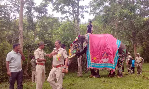 ಮೈಸೂರು ದಸರಾ 20206 | ಗಜಪಯಣಕ್ಕೆ ಕ್ಷಣಗಣನೆ ಆರಂಭ