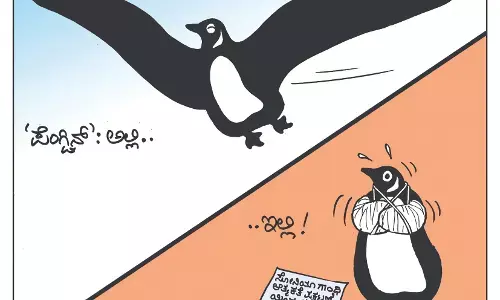 ಛೂ ಬಾಣ | ಪಿ. ಮಹಮ್ಮದ್ ಕಾರ್ಟೂನ್