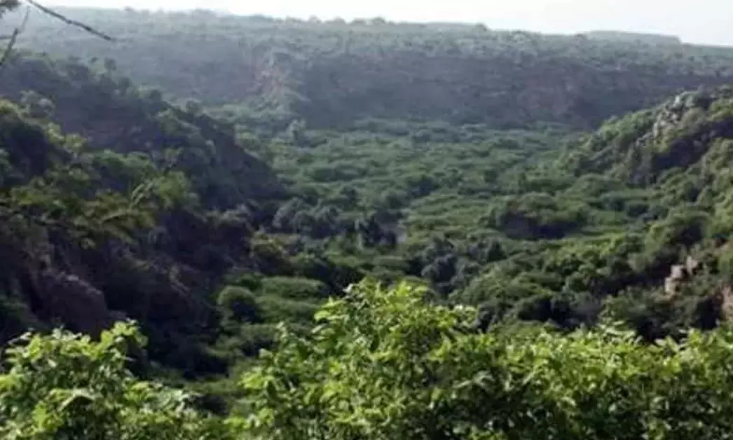 ಯೋಜನೆಗಳಿಗೆ ಅರಣ್ಯ ತೆರವುಗೊಳಿಸಲು ಗ್ರಾಮಸಭೆಯ ಅನುಮತಿಗೆ ಕಾನೂನಿನಡಿ ಅವಕಾಶವಿಲ್ಲ ಎಂದು ಬುಡಕಟ್ಟು ಸಚಿವಾಲಯ ಹೇಳಿರುವುದೇಕೆ?