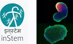 InStem | ವಿವಿಧ ಹುದ್ದೆಗಳಿಗೆ ನೇಮಕಾತಿ ಅಧಿಸೂಚನೆ ಬಿಡುಗಡೆ