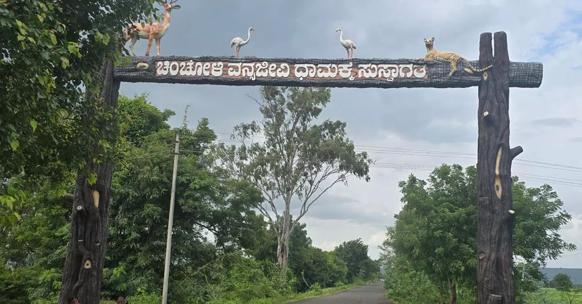 ಕಲಬುರಗಿಯ ಮಲೆನಾಡು ಚಿಂಚೋಳಿ ಅರಣ್ಯಧಾಮ! ಕಲಬುರಗಿಯ ಮಲೆನಾಡು ಚಿಂಚೋಳಿ ಅರಣ್ಯಧಾಮ!