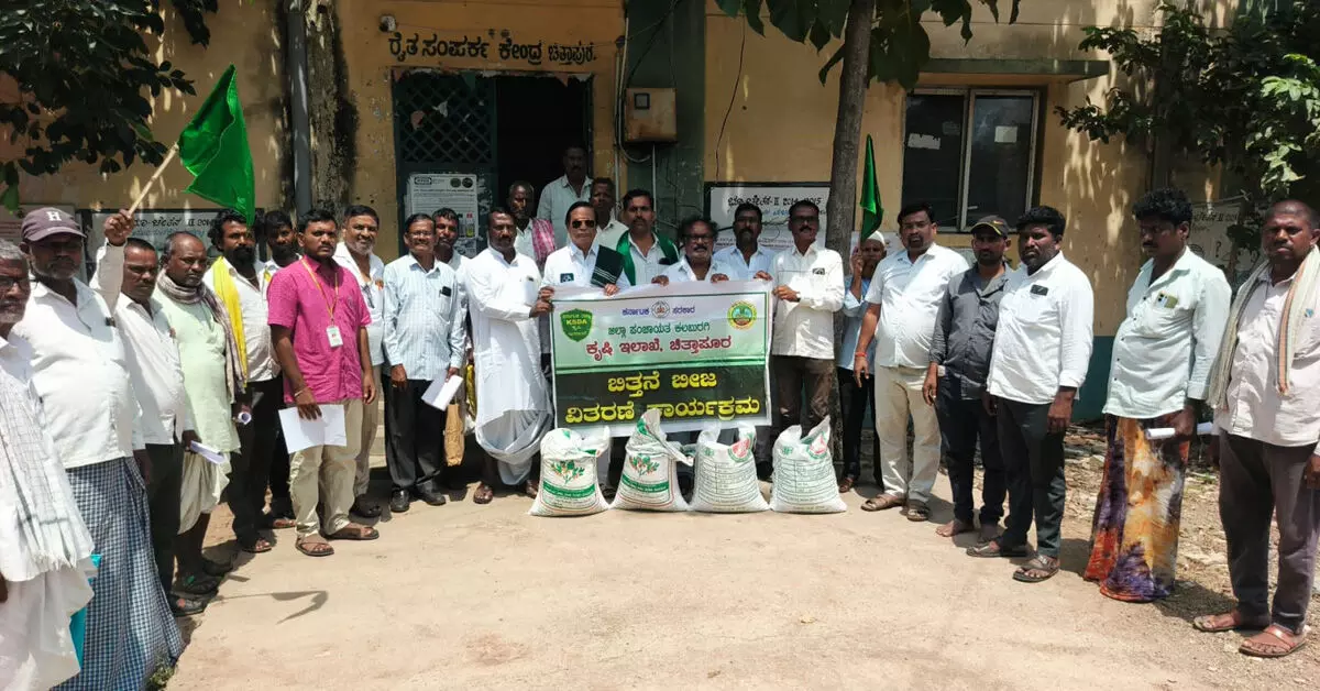ಚಿತ್ತಾಪುರದಲ್ಲಿ ಹಿಂಗಾರು ಹಂಗಾಮಿನ ಬಿತ್ತನೆ ಬೀಜ ವಿತರಣೆ ಚಿತ್ತಾಪುರದಲ್ಲಿ ಹಿಂಗಾರು ಹಂಗಾಮಿನ ಬಿತ್ತನೆ ಬೀಜ ವಿತರಣೆ