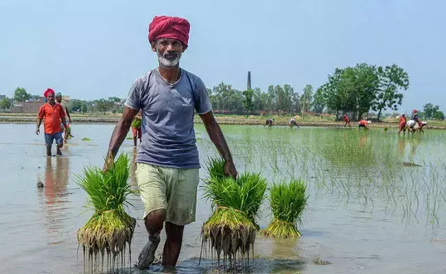 ರೈತರ ಖಾತೆಗಳಿಗೆ ಇನ್ನೂ ಜಮೆಯಾಗದ ಬೆಳೆ ವಿಮೆ ರೈತರ ಖಾತೆಗಳಿಗೆ ಇನ್ನೂ ಜಮೆಯಾಗದ ಬೆಳೆ ವಿಮೆ