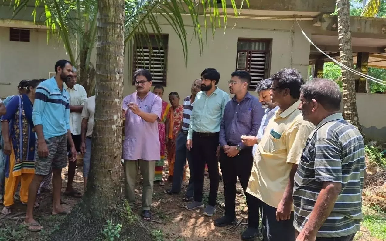 ತೆಂಗಿನ ಕಪ್ಪುತಲೆ ಹುಳುವಿನ ನಿಯಂತ್ರಣಕ್ಕೆ ರೈತರಿಗೆ ಪ್ರಾಯೋಗಿಕ ತರಬೇತಿ ತೆಂಗಿನ ಕಪ್ಪುತಲೆ ಹುಳುವಿನ ನಿಯಂತ್ರಣಕ್ಕೆ ರೈತರಿಗೆ ಪ್ರಾಯೋಗಿಕ ತರಬೇತಿ