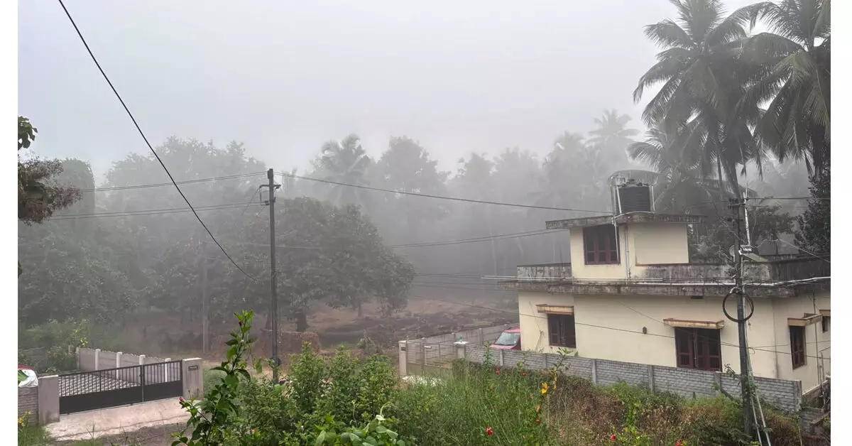 ಉಡುಪಿ ಜಿಲ್ಲೆಯ ವಿವಿಧೆಡೆ ಮುಂಜಾನೆ ದಟ್ಟ ಮಂಜು ಮುಸುಕಿದ ವಾತಾವರಣ ಉಡುಪಿ ಜಿಲ್ಲೆಯ ವಿವಿಧೆಡೆ ಮುಂಜಾನೆ ದಟ್ಟ ಮಂಜು ಮುಸುಕಿದ ವಾತಾವರಣ