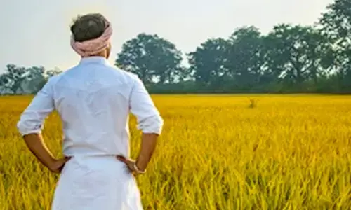 ಕೃಷಿಕ ವರನಲ್ಲವೇ?