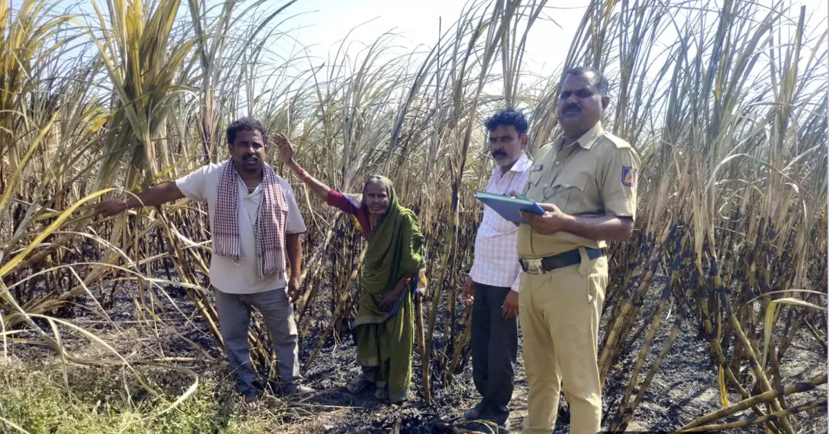 ಕಲಬುರಗಿ | ವಿದ್ಯುತ್ ಶಾರ್ಟ್ ಸರ್ಕ್ಯೂರ್ಟ್: 3 ಎಕರೆ ಕಬ್ಬು ಬೆಂಕಿಗಾಹುತಿ ಕಲಬುರಗಿ | ವಿದ್ಯುತ್ ಶಾರ್ಟ್ ಸರ್ಕ್ಯೂರ್ಟ್: 3 ಎಕರೆ ಕಬ್ಬು ಬೆಂಕಿಗಾಹುತಿ