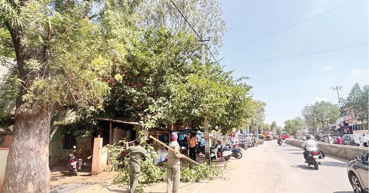 ವಿದ್ಯುತ್ ತಂತಿಗಳ ಮೇಲಿನ ರೆಂಬೆ-ಕೊಂಬೆ ತೆರವು ವಿದ್ಯುತ್ ತಂತಿಗಳ ಮೇಲಿನ ರೆಂಬೆ-ಕೊಂಬೆ ತೆರವು