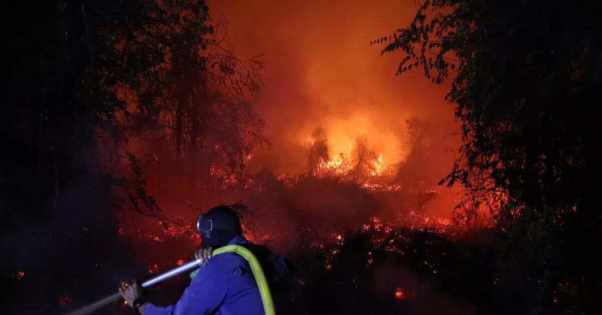 Indonesia | ಕಾಡ್ಗಿಚ್ಚು ನಂದಿಸುವ ಕಾರ್ಯಾಚರಣೆ ಸಂದರ್ಭ 4 ಮಂದಿ ಮೃತ್ಯು Indonesia | ಕಾಡ್ಗಿಚ್ಚು ನಂದಿಸುವ ಕಾರ್ಯಾಚರಣೆ ಸಂದರ್ಭ 4 ಮಂದಿ ಮೃತ್ಯು