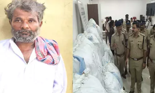 ವಿಜಯಪುರ ಪೊಲೀಸರ ಭರ್ಜರಿ ಕಾರ್ಯಾಚರಣೆ | ಹೊಲದಲ್ಲಿ ಬೆಳೆದಿದ್ದ 1.1 ಕೋಟಿ ರೂ. ಮೌಲ್ಯದ ಗಾಂಜಾ ಜಪ್ತಿ; ಓರ್ವ ಆರೋಪಿ ಬಂಧನ