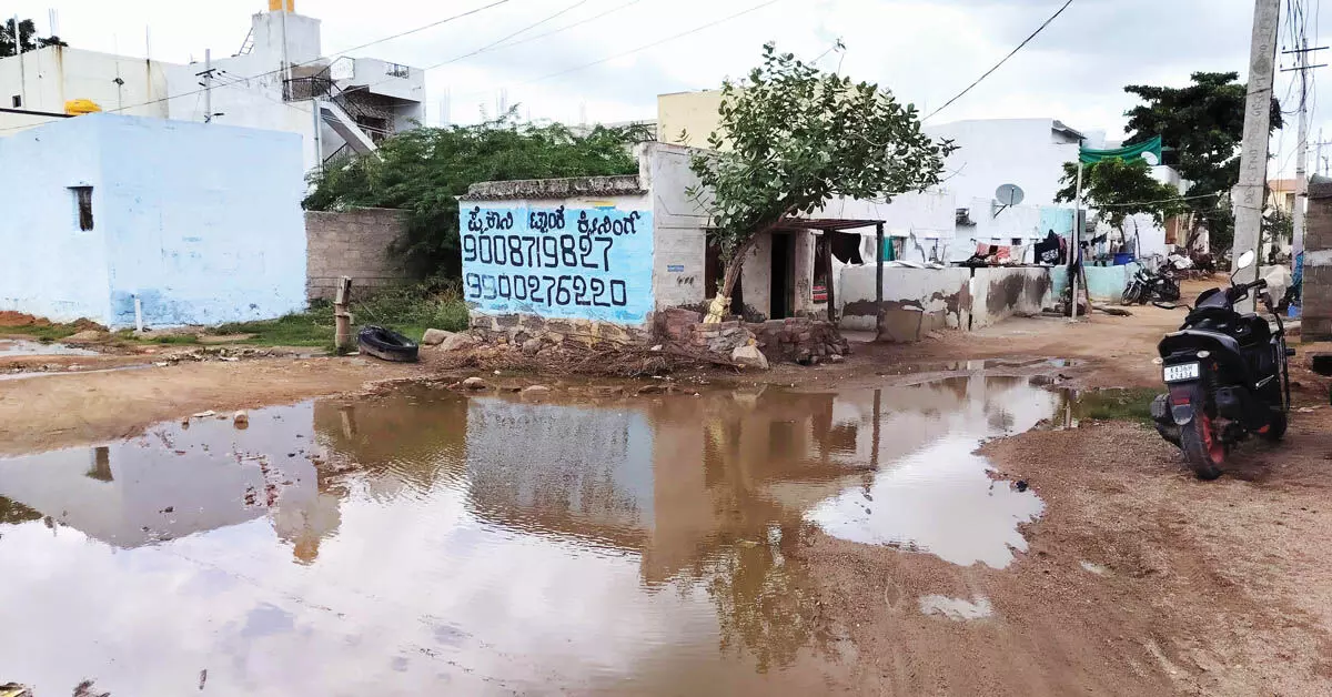 ಸೊಳ್ಳೆ ಕಾಟಕ್ಕೆ ದೇವದುರ್ಗ ಜನರ ಪರದಾಟ ಸೊಳ್ಳೆ ಕಾಟಕ್ಕೆ ದೇವದುರ್ಗ ಜನರ ಪರದಾಟ