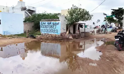 ಸೊಳ್ಳೆ ಕಾಟಕ್ಕೆ ದೇವದುರ್ಗ ಜನರ ಪರದಾಟ