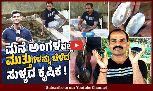 ನಮಗೆ ಬೇಕಾದ ವಿನ್ಯಾಸಗಳಲ್ಲಿ ಮುತ್ತುಗಳು ಸಿಗೋದು ಇದರ ವಿಶೇಷತೆ.. | Pearl | Sullia |