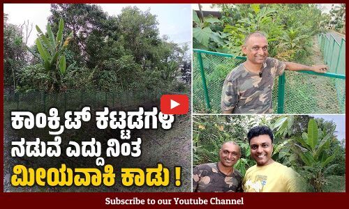 ಮೂರು ವರ್ಷ ನೀವು ನೋಡ್ಕೊಂಡ್ರೆ, ಅದು ನಿಮ್ಮನ್ನು 300 ವರ್ಷ ನೋಡ್ಕೊಳ್ಳುತ್ತೆ..: ಜೀತ್ ಮಿಲನ್ ರೋಶ್ | VB VLOGS