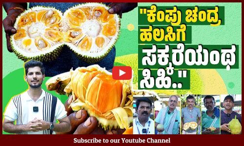 15 ದಿನ ಮಳೆ ಬಿದ್ರೂ ಈ ಹಲಸಿನ ಹಣ್ಣು ಏನೂ ಆಗಲ್ಲ | Jackfruit Mela | Udupi | Brahmavar