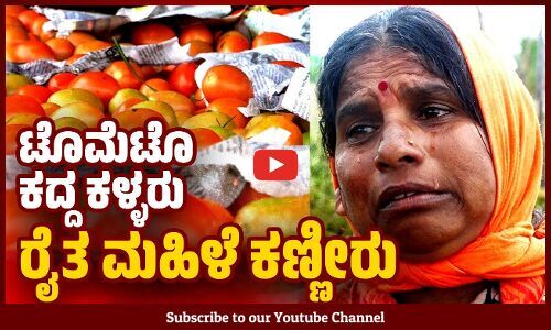 ಇದ್ದ ಒಡವೆಯನ್ನೂ ಅಡವಿಟ್ಟು ಸಿಕ್ಕ ಹಣದಿಂದ ಟೊಮೆಟೊ ಬೆಳೆದಿದ್ದೆವು.. | ರೈತ ಮಹಿಳೆ ಕಣ್ಣೀರು