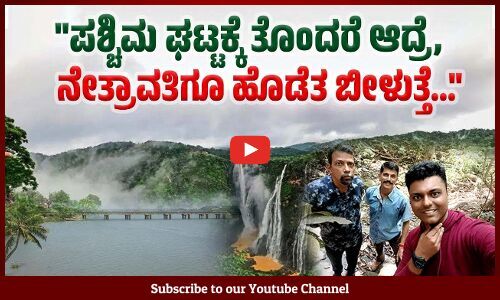 ಚಾರ್ಮಾಡಿ ಘಾಟ್ ತುದಿಯಲ್ಲಿ ಅಪರೂಪದ ಶೋಲಾ ಅರಣ್ಯ ! | Western Ghats | Charmadi Ghat | Dinesh Holla