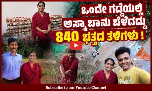 ಸರ್ಕಾರಿ ಶಾಲೆಯ ಉಪನ್ಯಾಸಕಿಯ ಅದ್ವಿತೀಯ ಸಾಧನೆ | Agriculture lover Asma Banu | VB VLOGS | Avinash Kamath