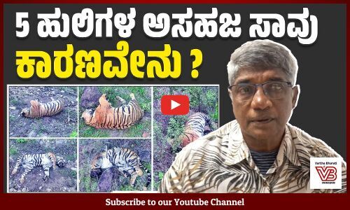 ಸಸ್ಪೆಂಡ್ ಆದ ಅಧಿಕಾರಿಯನ್ನು ಸರಕಾರ ತಂದು ಕೂರಿಸಿದ್ದು ತಪ್ಪು : ಜೋಸೆಫ್ ಹೂವರ್