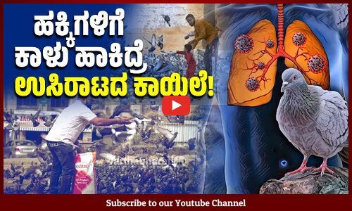 ಪಾರಿವಾಳಗಳ ಹಿಕ್ಕೆಗಳು Bird Breeder’s Lung ಕಾಯಿಲೆಗೆ ಹೇಗೆ ಕಾರಣವಾಗುತ್ತವೆ? | Pigeon | Lungs