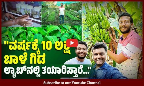 ಟಿಶ್ಯೂ ಕಲ್ಚರ್ ತಂತ್ರಜ್ಞಾನದಿಂದ ಗುಣಮಟ್ಟದ ಬಾಳೆ ಗಿಡ ಅಭಿವೃದ್ದಿ ಆಗಿದೆ | VB VLOGS | Avinash Kamath | Banana