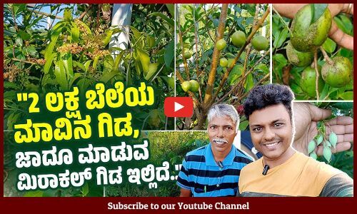 ವಿಶ್ವದ ಬಗೆಬಗೆಯ ದುಬಾರಿ ಹಣ್ಣು, ಹೂವುಗಳು ಇವರ ತಾರಸಿಯಲ್ಲಿ ಬೆಳೆಯುತ್ತೆ... | VB VLOGS | Avinash Kamath