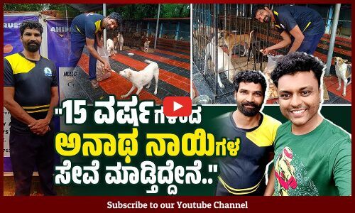 2 ಎಕರೆ ಜಾಗದಲ್ಲಿ 350 ಕ್ಕೂ ಹೆಚ್ಚು ಶ್ವಾನಗಳಿಗೆ ಆಸರೆ ನೀಡುವ ಅಹಿಂಸಾ | VB VLOGS | Avinash Kamath