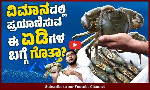 ಮಂಗಳೂರಿನಿಂದ ಮಲೇಷ್ಯಾ, ಚೀನಾ, ಸಿಂಗಾಪುರಕ್ಕೆ ಜೀವಂತ ಏಡಿ ರಫ್ತು.. | Crab Exports | Mangaluru | China