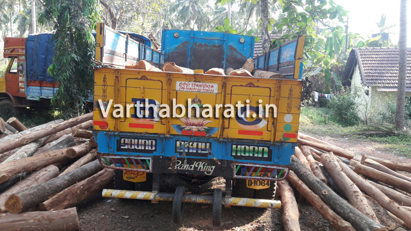 ನೆಲ್ಲಿಕಾರಿನಲ್ಲಿ ಅಕ್ರಮ ಮರ ಸಾಗಾಟ : ಅರಣ್ಯಾಧಿಕಾರಿಗಳ ವಶಕ್ಕೆ