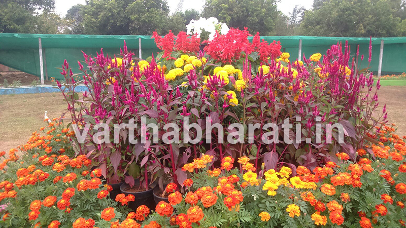 ಕದ್ರಿಯಲ್ಲಿ ಸಿದ್ಧಗೊಳ್ಳುತ್ತಿರುವ ತರಕಾರಿ ತೋಟ