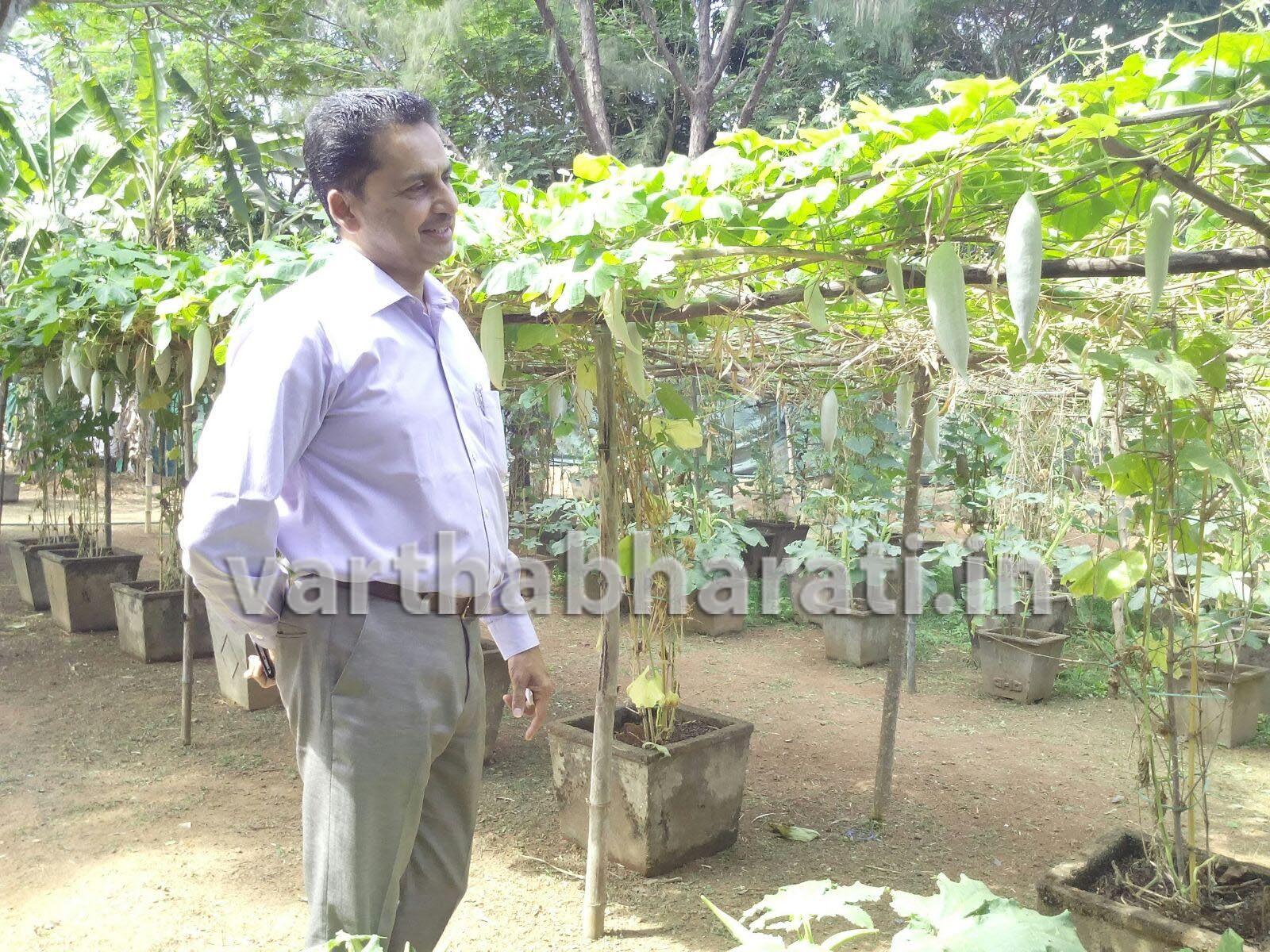 ಫಲಪುಷ್ಪ ಪ್ರದರ್ಶನ ವಿದ್ಯುತ್ ದೀಪಾಲಂಕೃತಗೊಳ್ಳಲಿದೆ ಕದ್ರಿ ಉದ್ಯಾನವನ