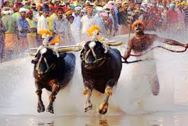 ಜ.23 : ಮೂಡುಬಿದಿರೆಯಲ್ಲಿ ಕೋಟಿ-ಚೆನ್ನಯ ಜೋಡುಕರೆ ಕಂಬಳೋತ್ಸವ