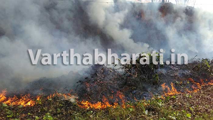 ಕಡಬ : ರಬ್ಬರ್ ತೋಟಕ್ಕೆ ಬೆಂಕಿ