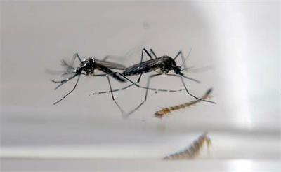 ವೆನೆಝುವೆಲಾದಲ್ಲಿ ಝಿಕ ವಿಷಾಣು ಬಾಧೆ: ಶಂಕಿತ4,700 ಪ್ರಕರಣಗಳು ಪತ್ತೆ