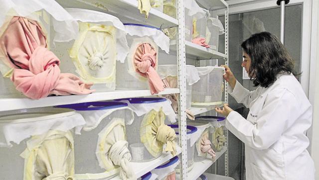 ವರ್ಷಾಂತ್ಯಕ್ಕೆ ಝಿಕಾ ವೈರಸ್‌ಗೆ ಲಸಿಕೆ?