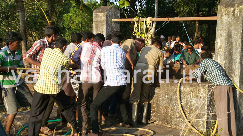ಅಕಾಸ್ಮಾತ್ ಬಾವಿಗೆ ಬಿದ್ದು ಸಾವು