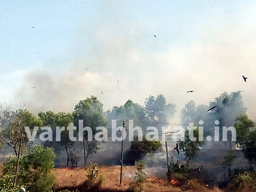 ಕಿಡಿಗೇಡಿಗಳಿಂದ ವಿವಿ ಗುಡ್ಡಕ್ಕೆ ಬೆಂಕಿ