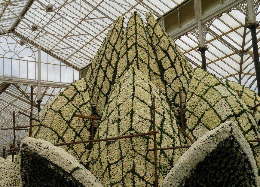 ಮನೆಮುರುಕರು ಮತ್ತು ಮಂಗಳೂರು ಮಲ್ಲಿಗೆ