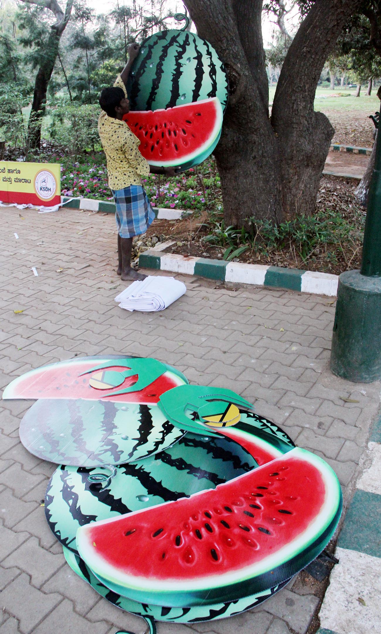 ಇಂದಿನಿಂದ ನಗರದಲ್ಲಿ ದ್ರಾಕ್ಷಿ-ಕಲ್ಲಂಗಡಿ ಮೇಳ