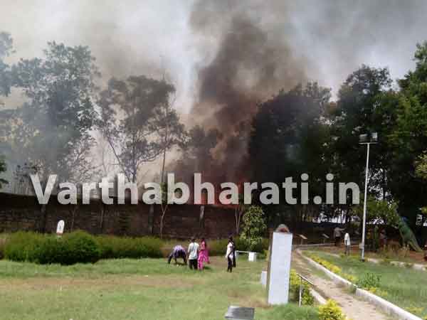 ಮಂಗಳೂರು :ಪಿಲಿಕುಳದ ಉದ್ಯಾನವನ ಬಳಿ ಬೆಂಕಿ