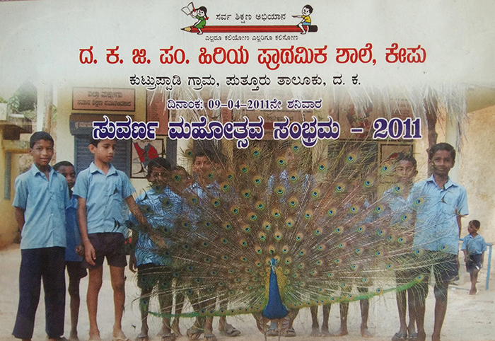 ಕಡಬ : ಶಾಲಾವರಣದಲ್ಲಿ ಗರಿಬಿಚ್ಚಿ ನರ್ತಿಸುವ ನವಿಲು