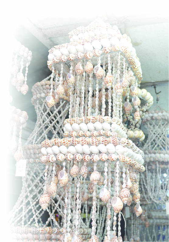 ಕಡಲ ಚಿಪ್ಪಿನಲ್ಲಿ  ಅರಳಿವೆ ಅಪರೂಪದ ಕಲಾಕೃತಿಗಳು!