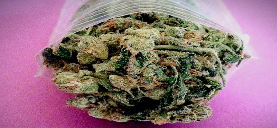 ನೇಪಾಲದಿಂದ ಭಾರತಕ್ಕೆ ಕಳ್ಳಸಾಗಣೆ - ಶತಕೋಟಿ ರೂ. ಮೌಲ್ಯದ 100 ಕೆ.ಜಿ. ಚರಸ್ ವಶ: ಇಬ್ಬರ ಬಂಧನ