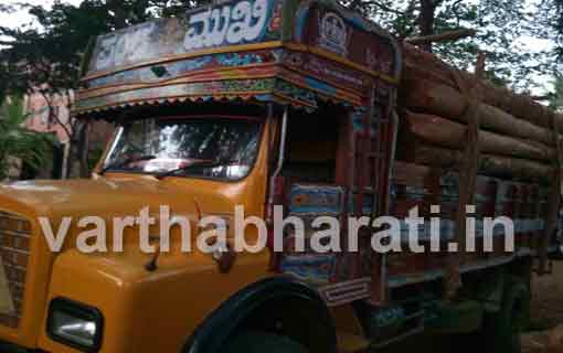 ಮಂಗಳೂರು: ಅಕ್ರಮ ಮರ ಸಾಗಾಟ ಪತ್ತೆ