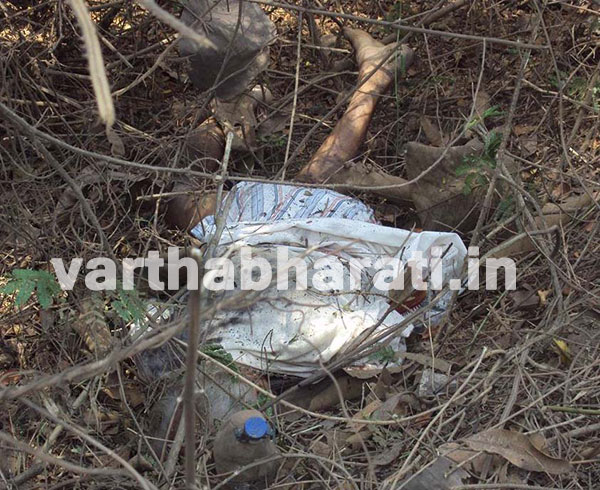 ಉಪ್ಪಿನಂಗಡಿ: ಲಾರಿ ಡಿಕ್ಕಿಯಾಗಿ ಪಾದಚಾರಿ ಮೃತ್ಯು