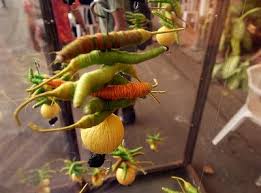 ಇದು ಅಂತಿಂಥ ಲಿಂಬೆಯಲ್ಲ; ಇದರ ಬೆಲೆ 39 ಸಾವಿರ ರೂಪಾಯಿ